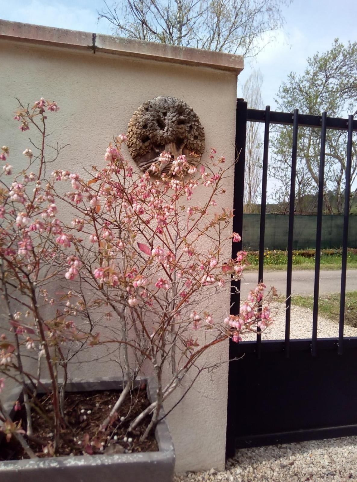 Le Repos Coquelicot Bed & Breakfast Montillot Luaran gambar